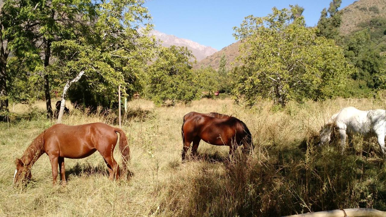 Cascada Lodge Cajon Del Maipo San Jose de Maipo Bagian luar foto